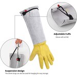 Garden Leather Gloves Supplier - Cheep Price Hand protection