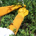Full Grain Cowhide Gloves Manufacturer - Rose Gardening Long