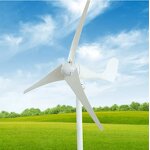 Wind Generator Supplier - High Efficient 24 Volts Vertical