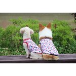 Pet Dog Vest Manufacturer - Factory OEM ODM Custom Cute