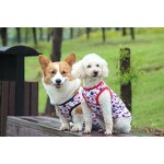 Pet Dog Vest Manufacturer - Factory OEM ODM Custom Cute