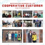 Hydraulic Cargo Lift Manufacturer - Customized 1000kg for