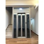 Small Residential Elevator Supplier - Indoor/outdoor Cheap 250kg