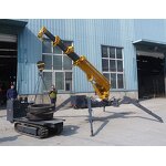 3t Crawler Spider Crane Supplier - Haoy Telescopic Boom