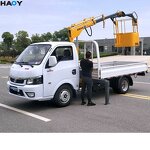 Light Cargo Truck Supplier - with Mini Crane for Sale