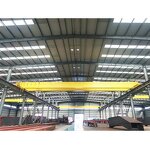 SGY Electric Overhead Crane Supplier - 20 Ton Capacity 20m