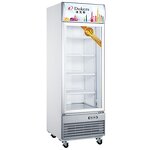 Ice Cream Display Freezer Manufacturer - Commercial for Shop