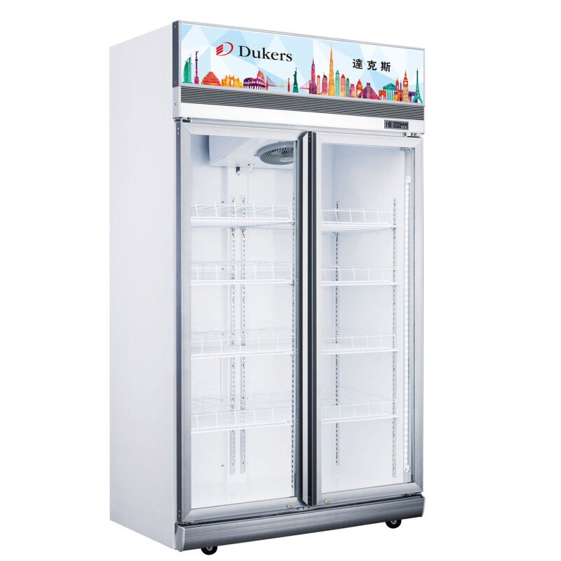 Ice Cream Display Freezer Manufacturer - Commercial for Shop