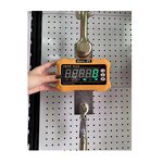 20 Ton Electronic Scale Manufacturer - Digital Crane with