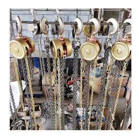 Flame Retardant Chain Block Supplier - 0.5-25T Explosion Proof