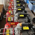Mini Electric Hoist Supplier - 150kg 500kg Double Wire Rope