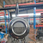 Stainless Steel Chain Block Supplier - 2 Ton X 6M Corrosion