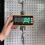 20 Ton Electronic Scale Manufacturer - Digital Crane with