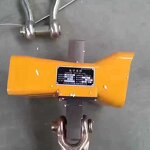 Digital Hanging Scale Manufacturer - 3 Ton Electronic Crane