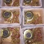 Flame Retardant Chain Block Supplier - 0.5-25T Explosion Proof