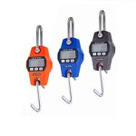 Mini Industrial Scale Supplier - 50-500kg Weighing Crane