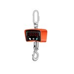20 Ton Electronic Scale Manufacturer - Digital Crane with
