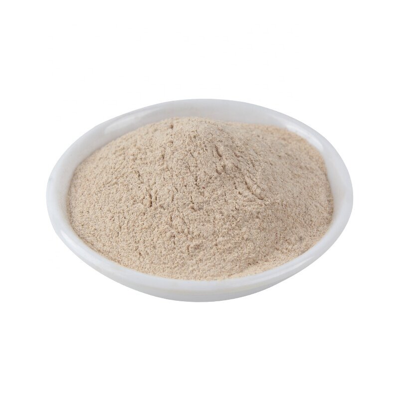 Bacillus Subtilis Supplier - 20-100 Billion CFU/G Spore Count