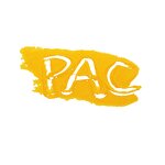 PAC Manufacturer - Poly Aluminium Chloride 30% Water Treatment