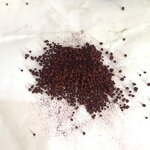 Sodium Ferric EDDHA Manufacturer - Fe 6% Chelate Fertilizer CAS 16455-61-1