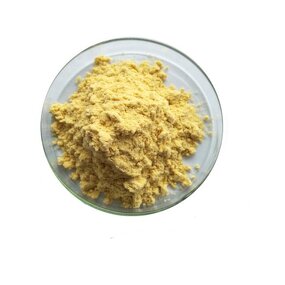 Sea Buckthorn Powder Manufacturer - Freeze-dried