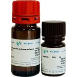 Lactose Broth Manufacturer - Cell Culture Media Supplier