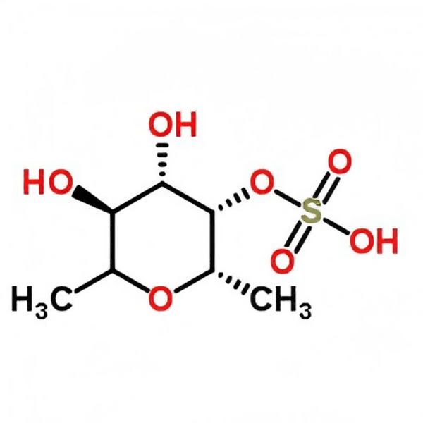 Fucoidan Powder Manufacturer - 85% CAS 9072-19-9