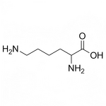 DL-Lysine Supplier - CAS 70-54-2 Amino Acid