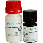 Gamma Globulins Manufacturer - CAS 9007-83-4