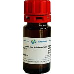 Nicotinamide Supplier - Vitamin B3 CAS 98-92-0