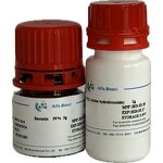 Allantoin Supplier - CAS 97-59-6