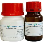 Alpha-Lactalbumin Manufacturer - CAS 9051-29-0