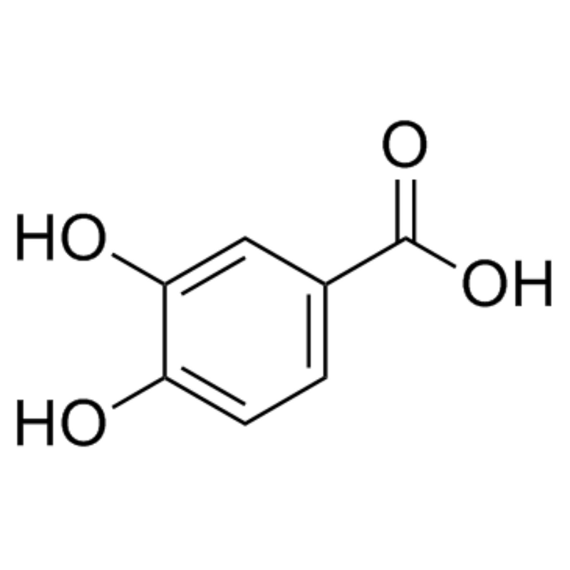 Protocatechuic Acid Manufacturer - CAS 99-50-3