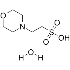 MES Hydrate Supplier - 99.5% CAS 145224-94-8