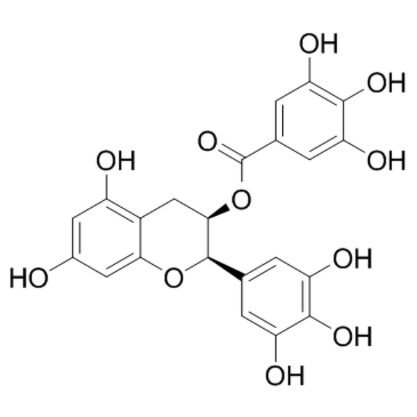 EGCG Supplier - Epigallocatechin Gallate CAS 989-51-5