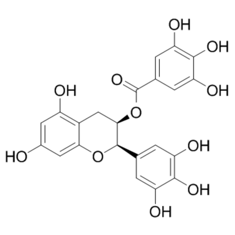 EGCG Supplier - Epigallocatechin Gallate CAS 989-51-5