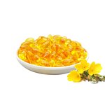 Evening Primrose Oil Supplier - Natural Pure GLA Food Grade