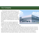 Perilla Seed Extract Powder Manufacturer - Food Grade 10:1 20:1