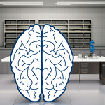 Nervonic Acid 98% Manufacturer - Acer Truncatum Seed Extract