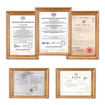 Cold-Pressed Grape Seed Oil Manufacturer - Premium Plant Extract