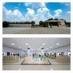 Cold Pressed Pumpkin Seed Oil Manufacturer - for Urinary Health Vegan