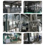 Perilla Oil Microcapsule Powder Supplier - Premium Plant Extract
