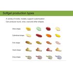 Maple Seed Oil Softgel Manufacturer - OEM/ODM Custom Capsules