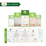 Grape Seed Oil Supplier - Premium Plant Extract for Health