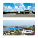 Perilla Extract Powder Supplier - Bulk Herbal Folium Perillae