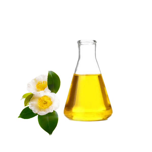 Cold Pressed Camellia Seed Oil Manufacturer - Premium Cooking Oil