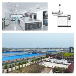 Maple Seed Oil Manufacturer - Nervonic Acid Acer Truncatum Seed Oil