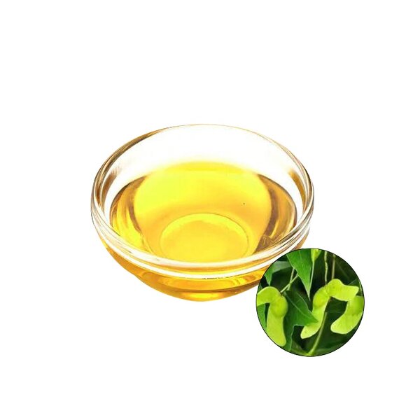 Acer Truncatum Seed Oil Factory - Nervonic Acid Plant Extract