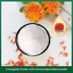 Conjugated Linoleic Acid Powder Factory - 80% Pure Bulk Supply