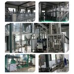 Cold Pressed Grape Seed Oil Factory - Food Grade Edible Oil Wholesale